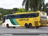 Empresa Gontijo de Transportes 17260 na cidade de Perdões, Minas Gerais, Brasil, por Pedro Henrique. Número da foto: #13047475.