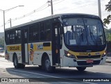 Valli Locação e Transportes 010.795 na cidade de Cotia, São Paulo, Brasil, por David Macedo Rocha. Número da foto: #13047998.