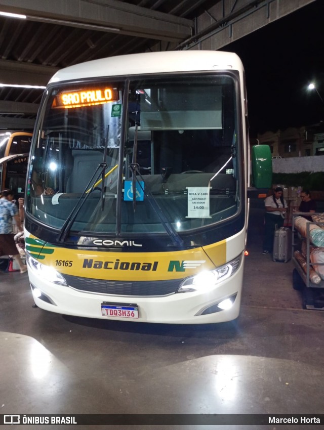 Viação Nacional 16165 na cidade de Ribeirão Preto, São Paulo, Brasil, por Marcelo Horta. Número da foto: #13050493.