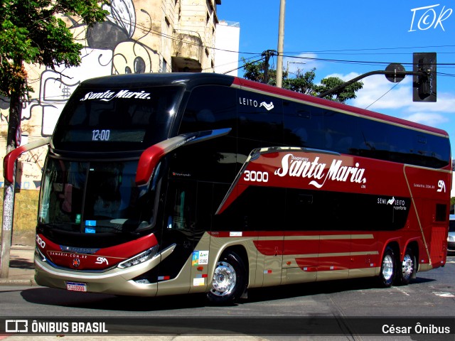 Santa Maria Fretamento e Turismo > Transportes Santa Maria(SP) 3000 na cidade de Belo Horizonte, Minas Gerais, Brasil, por César Ônibus. Número da foto: #13051959.