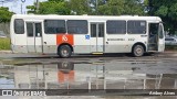 Borborema Imperial Transportes 442 na cidade de Jaboatão dos Guararapes, Pernambuco, Brasil, por Andrey Alves. Número da foto: #:id.