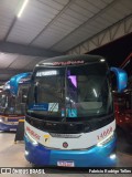 Brubuss Transportes 14000 na cidade de Oliveira, Minas Gerais, Brasil, por Fabrício Rodrigo Telles. Número da foto: #13052852.