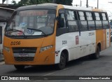 STEC - Subsistema de Transporte Especial Complementar D-256 na cidade de Salvador, Bahia, Brasil, por Alexandre Souza Carvalho. Número da foto: #13050758.