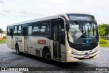 LDL Turismo C-230 na cidade de Indaial, Santa Catarina, Brasil, por Diego Lip. Número da foto: #13051544.