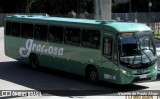 Viação Graciosa 306 na cidade de Curitiba, Paraná, Brasil, por Vicente de Paulo Alves. Número da foto: #13049828.