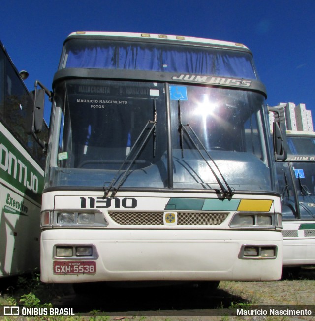 Empresa Gontijo de Transportes 11310 na cidade de Belo Horizonte, Minas Gerais, Brasil, por Maurício Nascimento. Número da foto: #13055532.