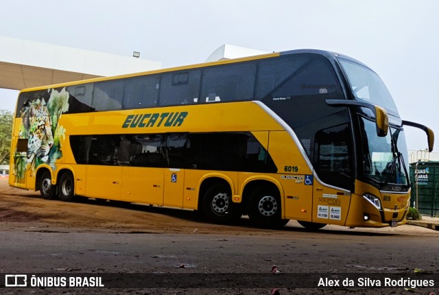 Eucatur - Empresa União Cascavel de Transportes e Turismo 6019 na cidade de Porto Velho, Rondônia, Brasil, por Alex da Silva Rodrigues. Número da foto: #13054325.
