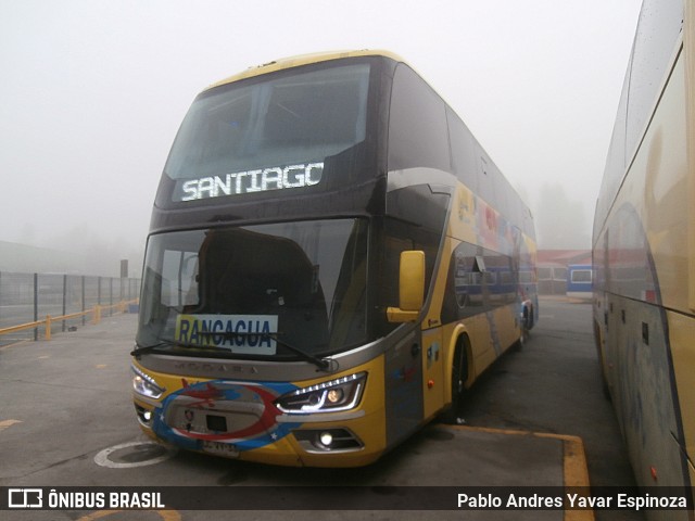 Jet Sur LCVY33 na cidade de Santa Cruz, Colchagua, Libertador General Bernardo O'Higgins, Chile, por Pablo Andres Yavar Espinoza. Número da foto: #13055099.