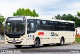 LDL Turismo C-220 na cidade de Indaial, Santa Catarina, Brasil, por Diego Lip. Número da foto: #13054210.