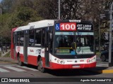 Tarsa 4836 na cidade de Ciudad Autónoma de Buenos Aires, Argentina, por Agustin SanCristobal1712. Número da foto: #13055364.
