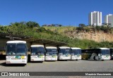 Empresa Gontijo de Transportes 10325 na cidade de Belo Horizonte, Minas Gerais, Brasil, por Maurício Nascimento. Número da foto: #13055617.