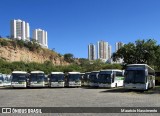 Empresa Gontijo de Transportes 20135 na cidade de Belo Horizonte, Minas Gerais, Brasil, por Maurício Nascimento. Número da foto: #13055582.