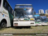 Empresa Gontijo de Transportes 11380 na cidade de Belo Horizonte, Minas Gerais, Brasil, por Maurício Nascimento. Número da foto: #13055541.
