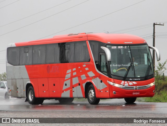 Ônibus Particulares 6377 na cidade de Messias, Alagoas, Brasil, por Rodrigo Fonseca. Número da foto: #13058720.