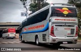 Viação Piracicabana 462301 na cidade de Jaú, São Paulo, Brasil, por Murillo Alexandre Ramos. Número da foto: #13057047.