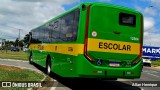 Transportes Capellini 12364 na cidade de Paulínia, São Paulo, Brasil, por Allan Henrique. Número da foto: #13058393.