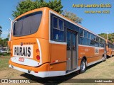 Transporte Rural 4600 na cidade de Artur Nogueira, São Paulo, Brasil, por André Leandro. Número da foto: #13056704.
