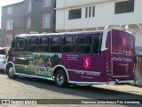 Transportes Ecatepec 359 na cidade de Ecatepec de Morelos, Estado de México, México, por Francisco Javier Esteva FJA Armstrong. Número da foto: #13056535.
