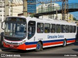 Empresa de Transportes Limousine Carioca RJ 129.084 na cidade de Duque de Caxias, Rio de Janeiro, Brasil, por André Almeida. Número da foto: #13057903.