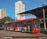 Himalaia Transportes > Ambiental Transportes Urbanos 4 1901 na cidade de São Paulo, São Paulo, Brasil, por Lucas Mendes. Número da foto: #13058139.