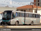 Empresa de Transporte Pgtur 0737 na cidade de Ponta Grossa, Paraná, Brasil, por Gabriel Guachineski. Número da foto: #13058178.