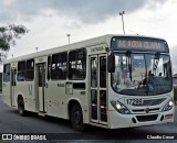 Expresso Azul 17299 na cidade de Pinhais, Paraná, Brasil, por Claudio Cesar. Número da foto: #:id.