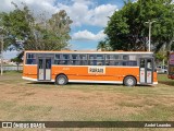 Transporte Rural 4600 na cidade de Artur Nogueira, São Paulo, Brasil, por André Leandro. Número da foto: #13056709.