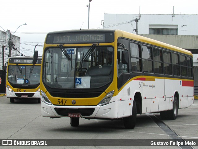 Empresa Metropolitana 547 na cidade de Recife, Pernambuco, Brasil, por Gustavo Felipe Melo. Número da foto: #13011097.