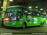 Pássaro Verde 28030 na cidade de Belo Horizonte, Minas Gerais, Brasil, por Luiz Otavio Matheus da Silva. Número da foto: #:id.