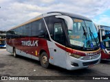 Transportadora Tinguá RJ 156.252 na cidade de Rio de Janeiro, Rio de Janeiro, Brasil, por Renan Vieira. Número da foto: #13010051.