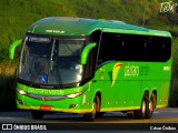 Pássaro Verde 19153 na cidade de Belo Horizonte, Minas Gerais, Brasil, por César Ônibus. Número da foto: #:id.