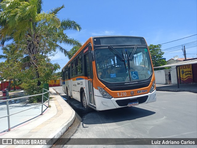 Cidade Alta Transportes 1.210 na cidade de Paulista, Pernambuco, Brasil, por Luiz Adriano Carlos. Número da foto: #13059474.