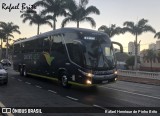 Pássaro Verde 16906 na cidade de Ribeirão Preto, São Paulo, Brasil, por Rafael Henrique de Pinho Brito. Número da foto: #13062103.