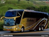 Linhatur Turismo e Fretamento 8000 na cidade de Belo Horizonte, Minas Gerais, Brasil, por César Ônibus. Número da foto: #13061804.