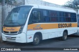 Transflor - Transporte Anflor 290 na cidade de Osório, Rio Grande do Sul, Brasil, por Andreo Bernardo. Número da foto: #13061187.
