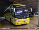 Viação Nova Itapemirim 20906 na cidade de Queluz, São Paulo, Brasil, por Helder Fernandes da Silva. Número da foto: #13060716.