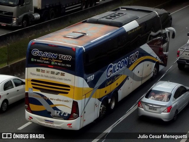 Gilsontur 1773 na cidade de São José dos Pinhais, Paraná, Brasil, por Julio Cesar Meneguetti. Número da foto: #13063697.