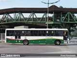 Santa Teresinha Transporte e Turismo - Brusquetur 501 na cidade de Brusque, Santa Catarina, Brasil, por Bruno Nascimento. Número da foto: #13064677.