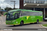 Pássaro Verde 19163 na cidade de Santa Bárbara, Minas Gerais, Brasil, por Rodrigo Matheus. Número da foto: #13063512.