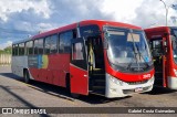 Transbus Transportes > Gávea Transportes 29373 na cidade de Belo Horizonte, Minas Gerais, Brasil, por Gabriel Costa Guimarães. Número da foto: #13063467.