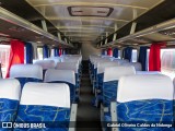 Ônibus Particulares 7239 na cidade de Artur Nogueira, São Paulo, Brasil, por Gabriel Oliveira Caldas da Nobrega. Número da foto: #13064542.