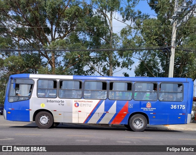 Vipol Transportes Rodoviários - TIPBUS - Transportes Intermunicipal 36.175 na cidade de Guarulhos, São Paulo, Brasil, por Felipe Mariz. Número da foto: #13067657.
