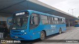 Biguaçu Transportes Coletivos Administração e Participação 436 na cidade de Florianópolis, Santa Catarina, Brasil, por Gabriel Paiva. Número da foto: #13068228.