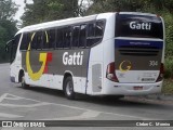 Gatti 304 na cidade de São Roque, São Paulo, Brasil, por Cleber C.  Moreira. Número da foto: #13066504.