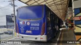 Next Mobilidade - ABC Sistema de Transporte 81.643 na cidade de Ribeirão Pires, São Paulo, Brasil, por Pedro D'Araio. Número da foto: #13068157.