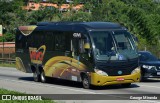 TransVivo Transportes e Turismo 4299 na cidade de Santa Isabel, São Paulo, Brasil, por George Miranda. Número da foto: #13067272.