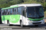 Turismo e Fretamento Orion Transportes 4203 na cidade de Aparecida, São Paulo, Brasil, por José Augusto de Souza Oliveira. Número da foto: #13070280.