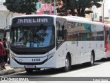 VB Transportes e Turismo 1256 na cidade de Campinas, São Paulo, Brasil, por Rafael Senna. Número da foto: #13069739.