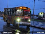 TLGSA - Transporte Loma Grande S.A. - Línea 132 > Transporte LomaGrandense S.A. 1245 na cidade de Limpio, Central, Paraguai, por Eduardo Dodero. Número da foto: #13068788.