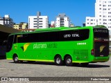 Pássaro Verde 28035 na cidade de Divinópolis, Minas Gerais, Brasil, por Pedro Henrique. Número da foto: #:id.